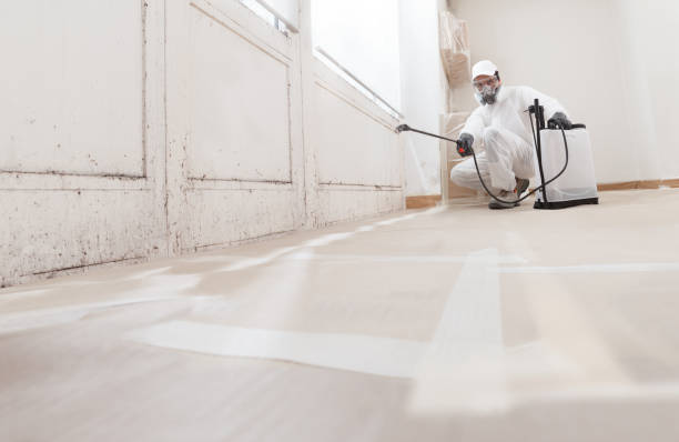 24/7 Emergency Mold Remediation experts in Farmington, IL